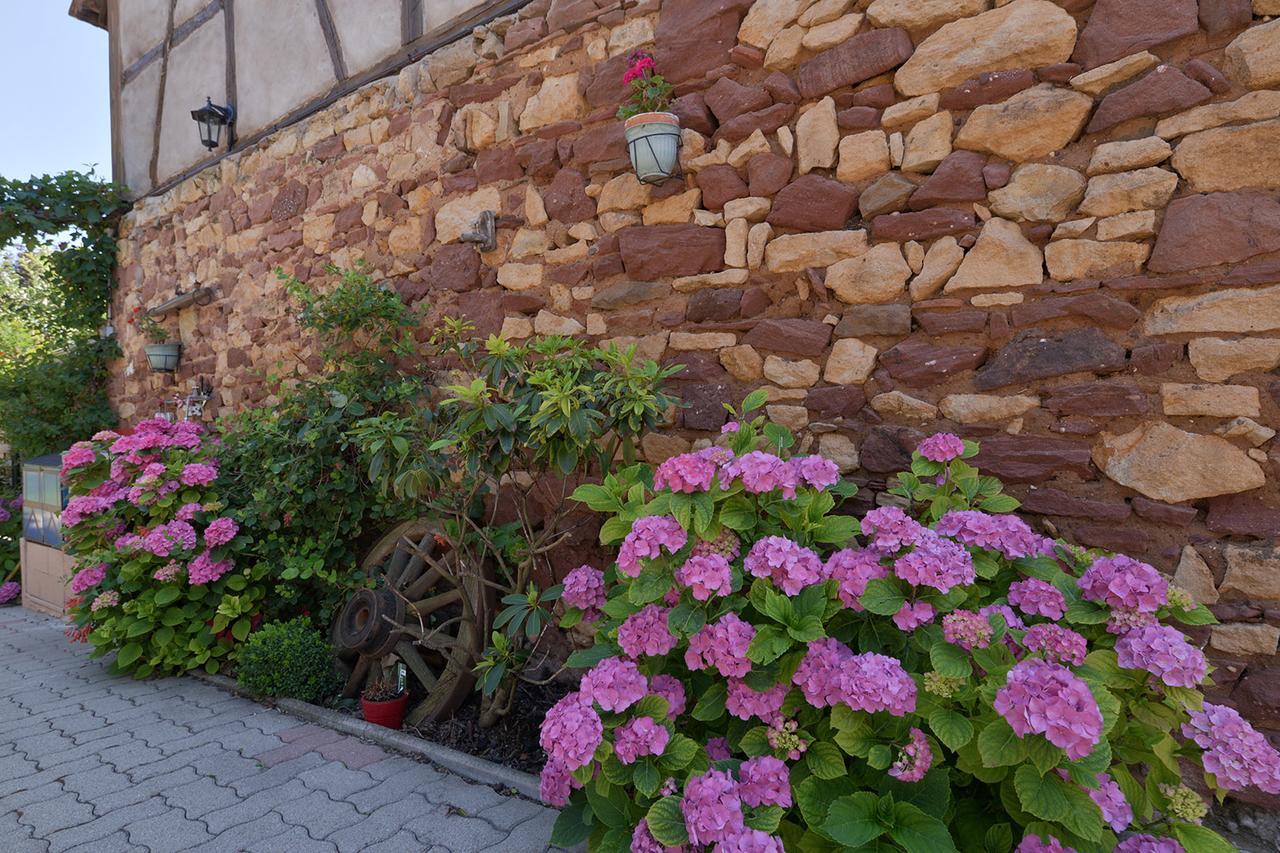 Eden Des Choux Hotel Krautergersheim Luaran gambar